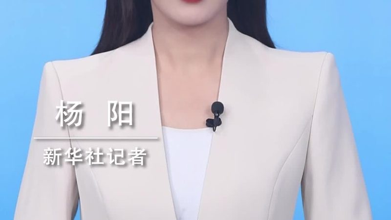 数据治理培训：IT决策者的必备知识体系