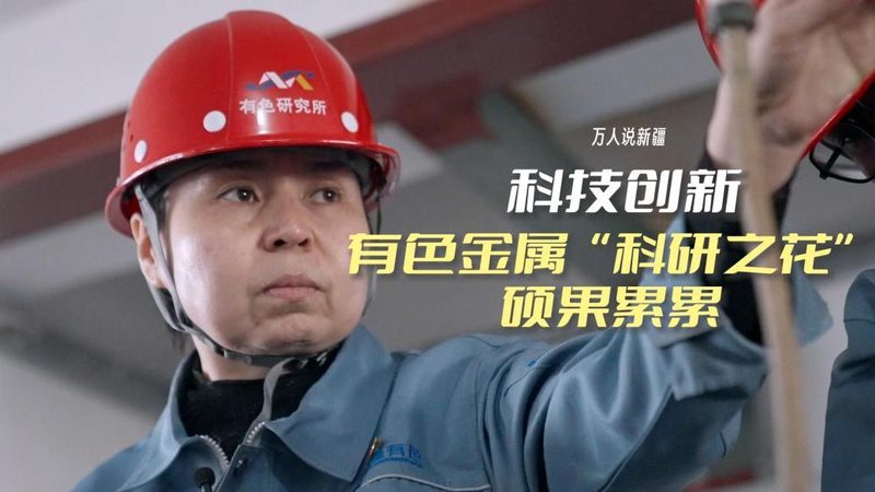 定制软件开发：揭秘成本构成与影响因素